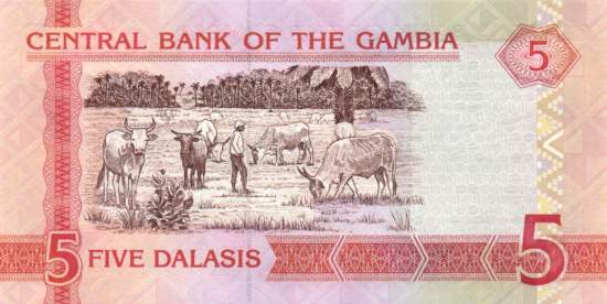 5 Dalasis 2006